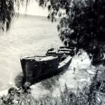 Gayundah, circa 1963.
Courtesy of Selwyn Steley.