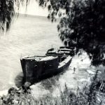 Gayundah, circa 1963.
Courtesy of Selwyn Steley.