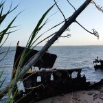 Gayundah. Christmas 2014